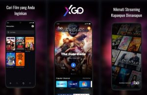 Transvision XGO