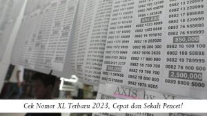 Cek Nomor XL